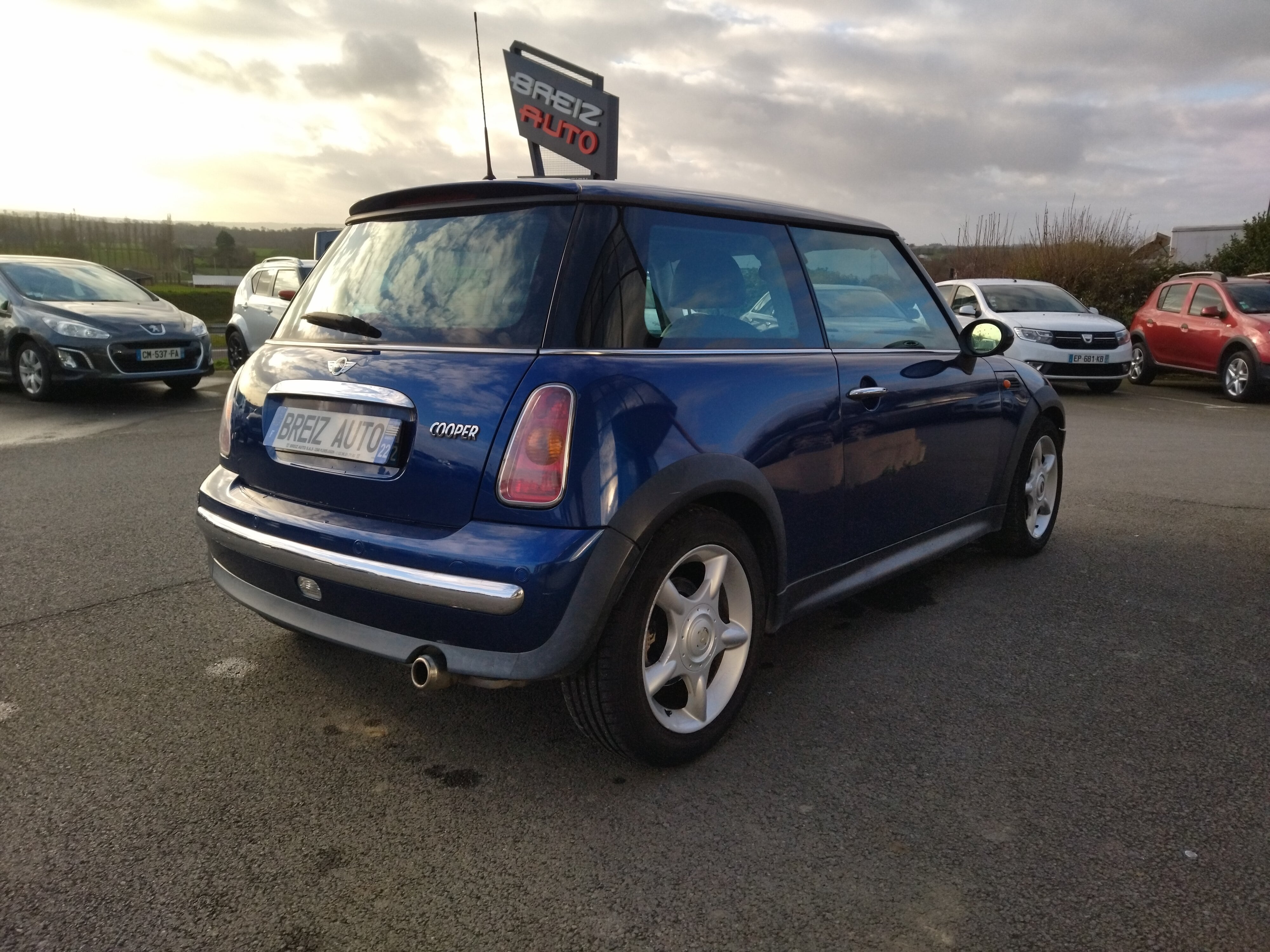 MINI MINI                     