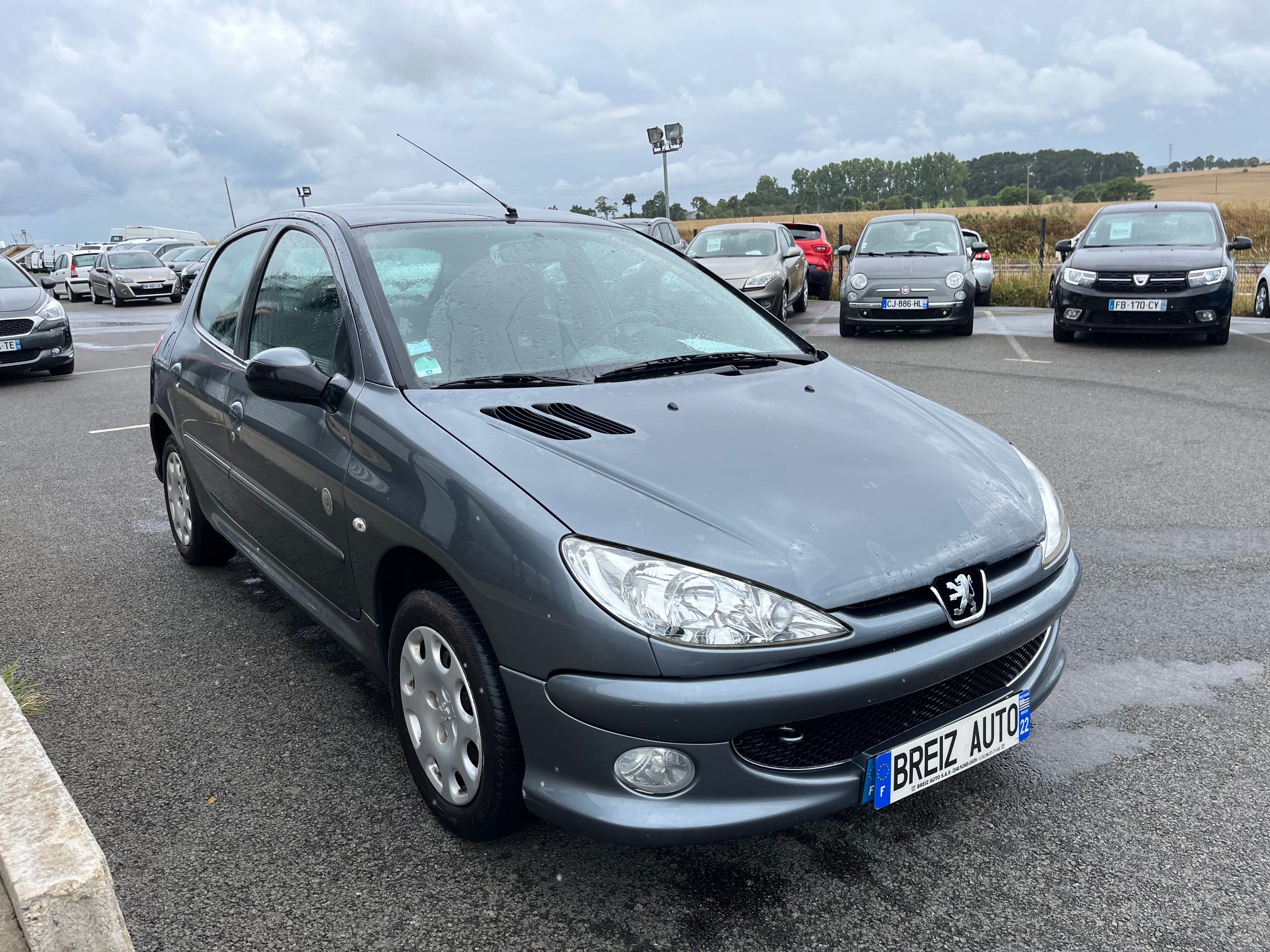 PEUGEOT         206