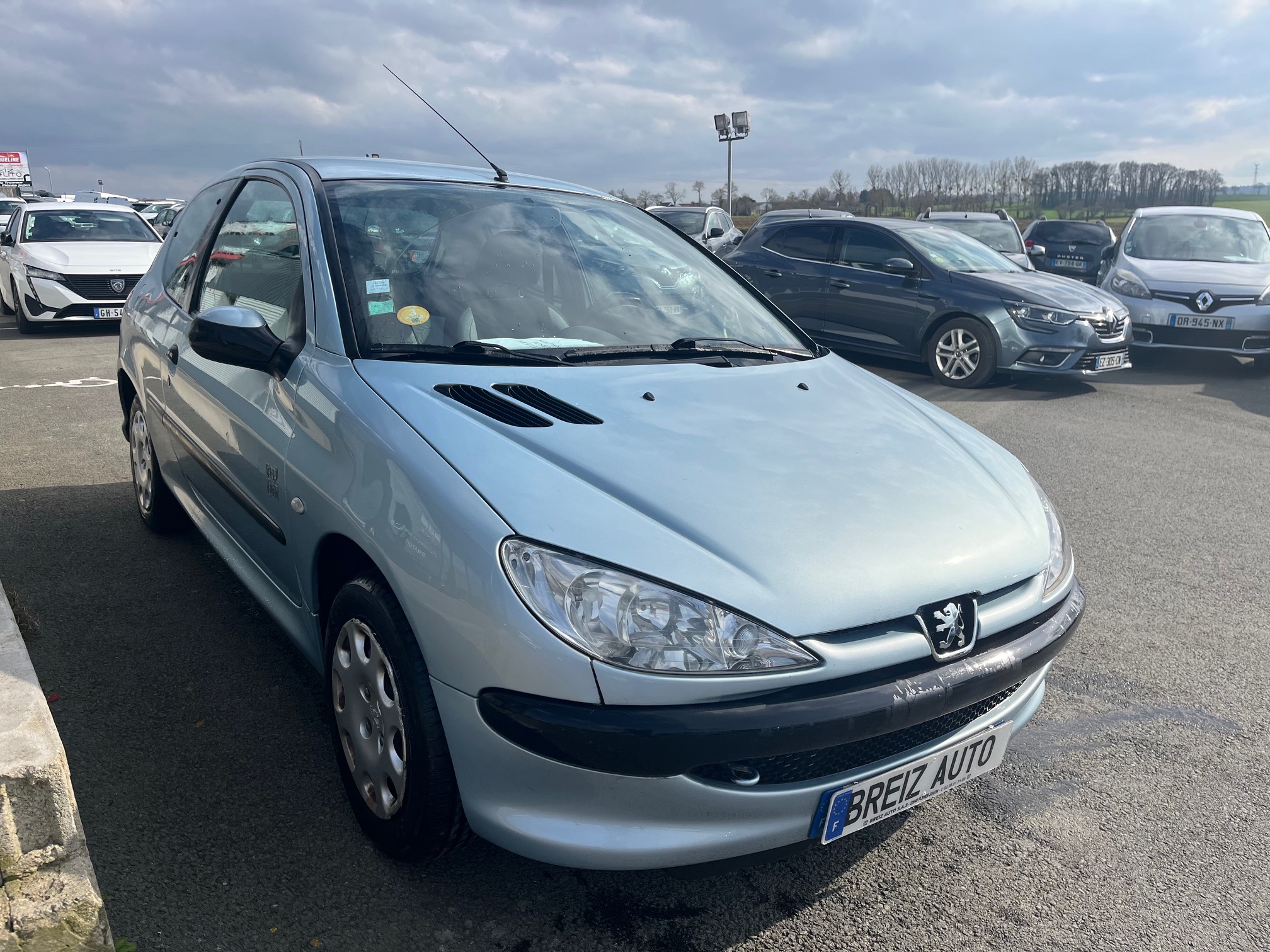 PEUGEOT         206