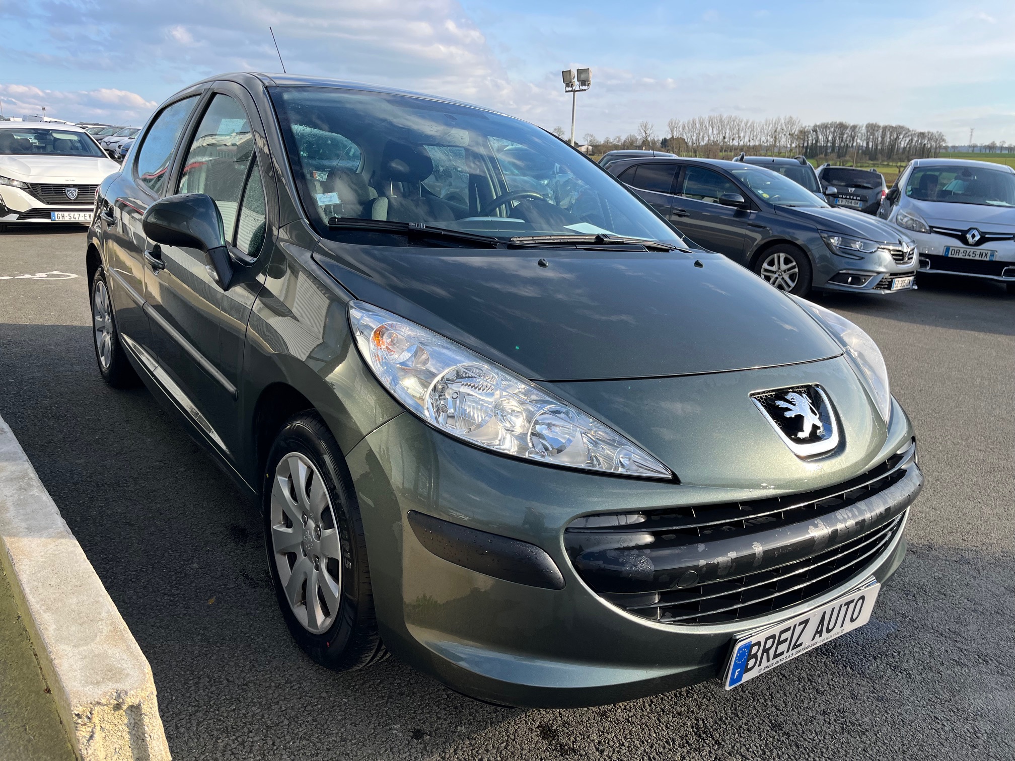 PEUGEOT         207