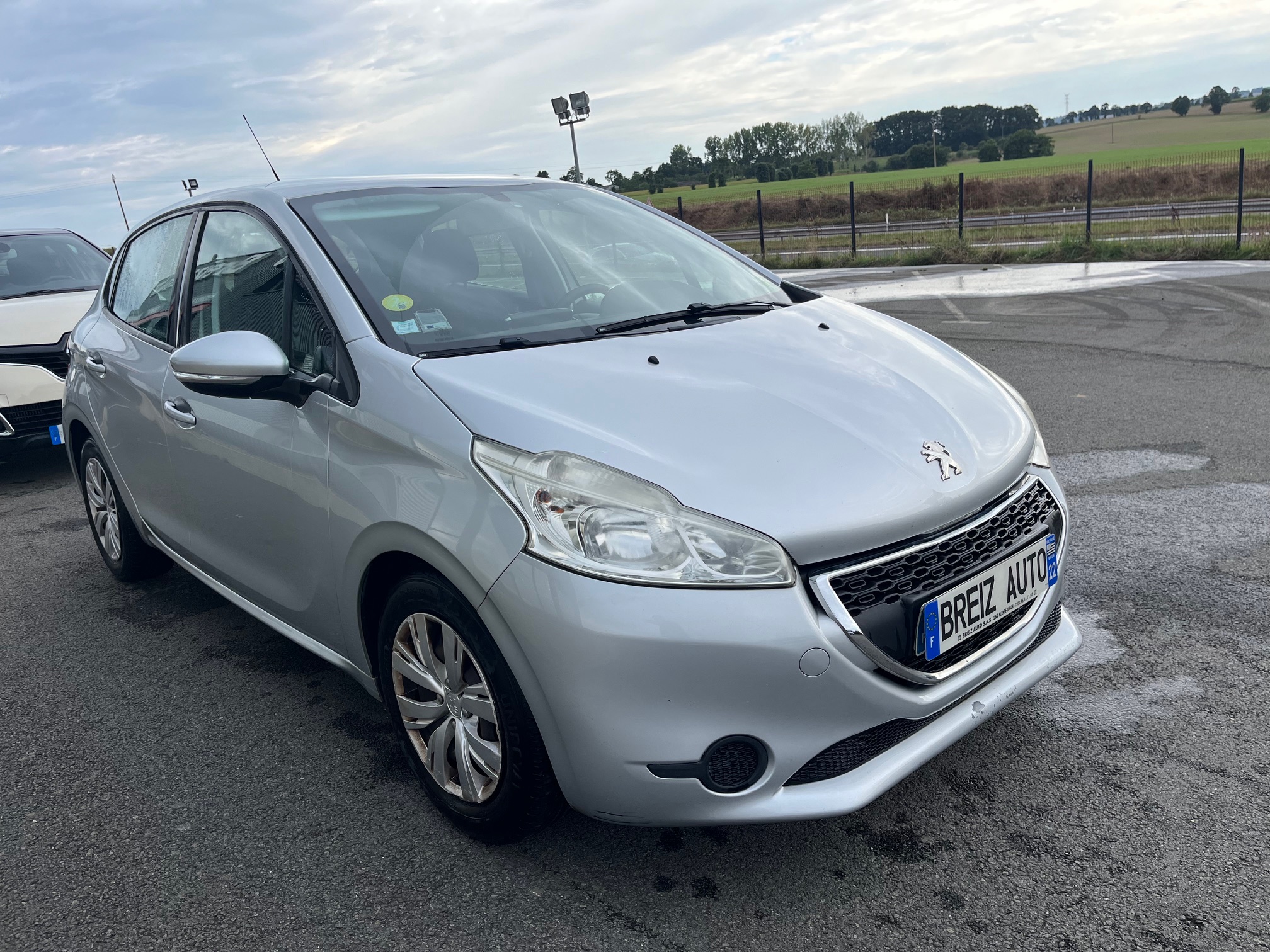 PEUGEOT         208