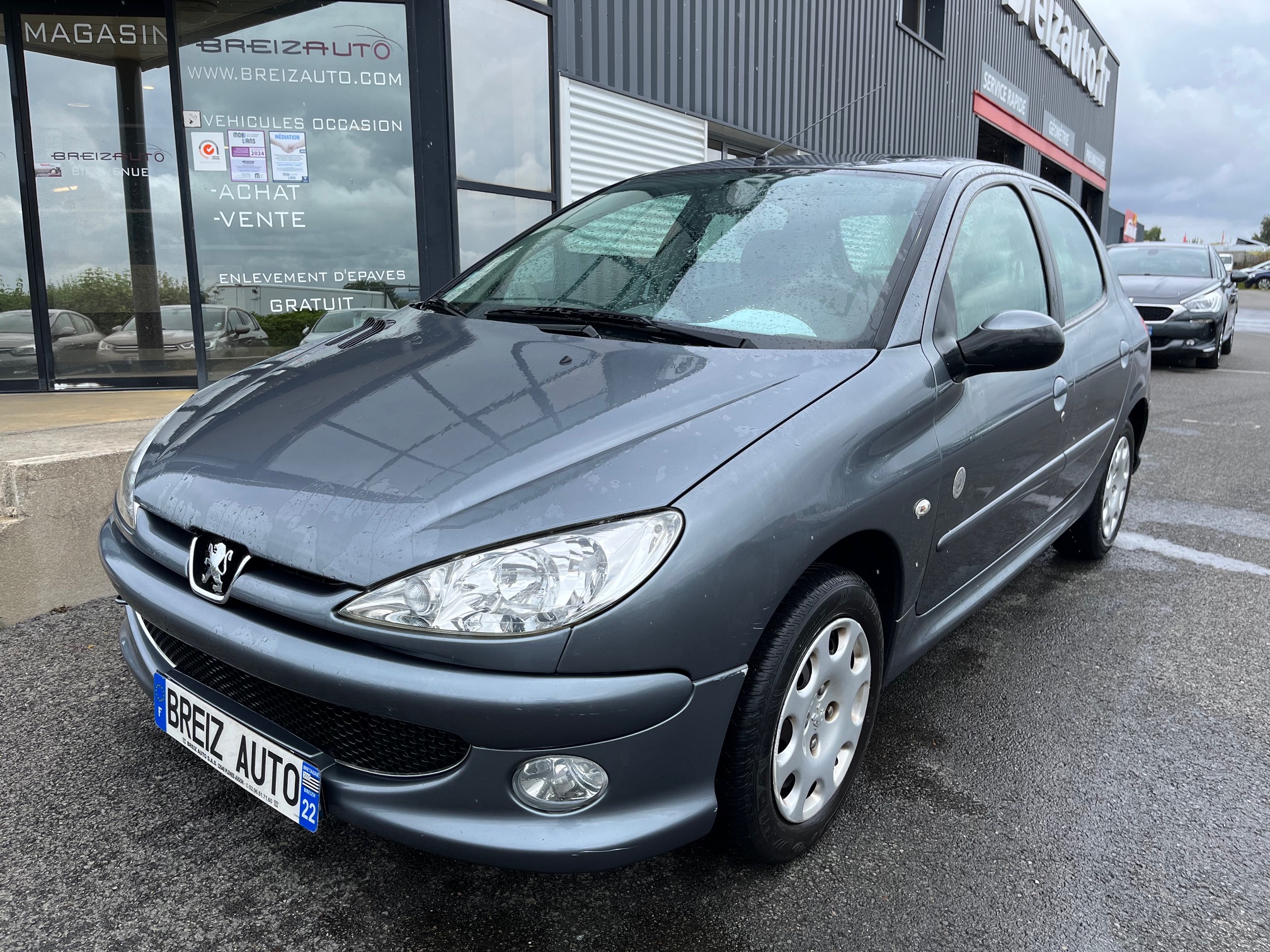 PEUGEOT         206